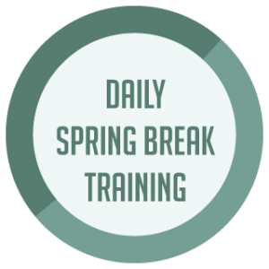 spring icons daily training
